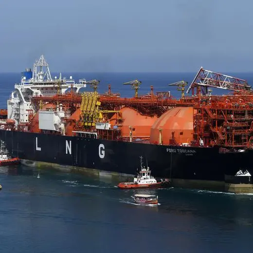 German gas importer VNG sees LNG boom, Russia's role declining