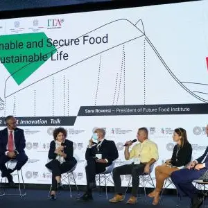 Innovation and cooperation key elements to achieve a more sustainable agri-food supply chain