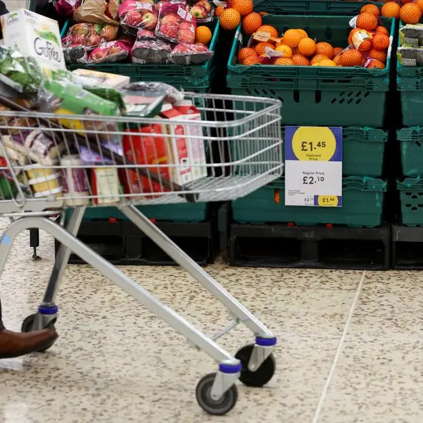 Price drop fears put a brake on European grocers' rally