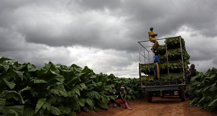 Zimbabwe repossessing unused land from Black farmers