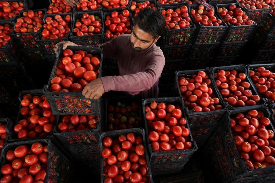 Inflacija v Pakistanu oktobra poskočila na 6,2 %, kar je največ v zadnjih 12 mesecih