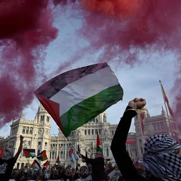 20,000 march in Spanish capital against Gaza 'genocide'