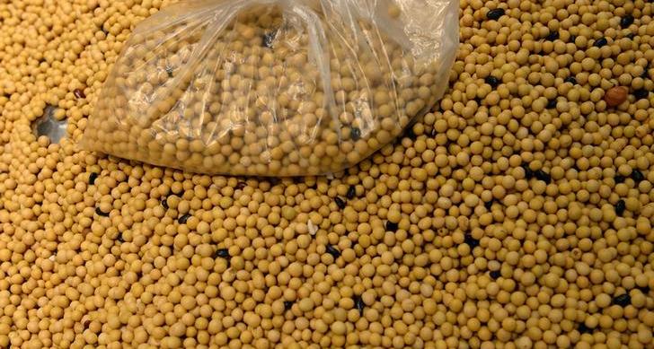 China to auction soybeans from state reserves amid tight supply