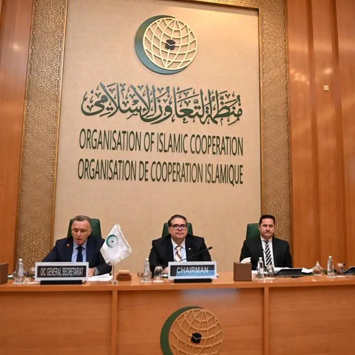 OIC member states move to modernize investment agreement