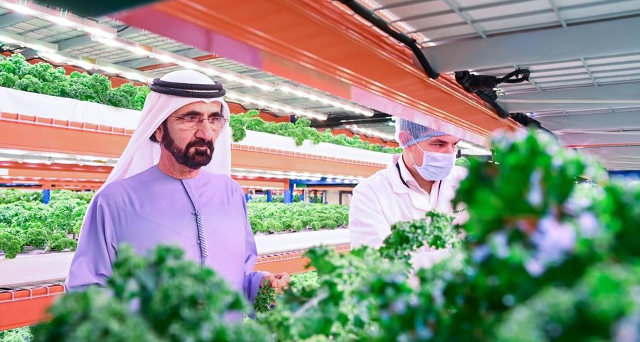 Mohammed bin Rashid tours world’s largest vertical hydroponic farm in Dubai