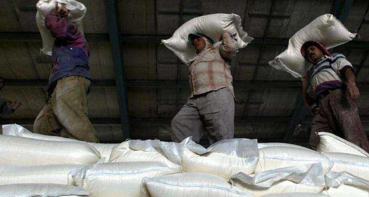 Jordan makes no purchase in tender for 120,000 tonnes wheat: traders
