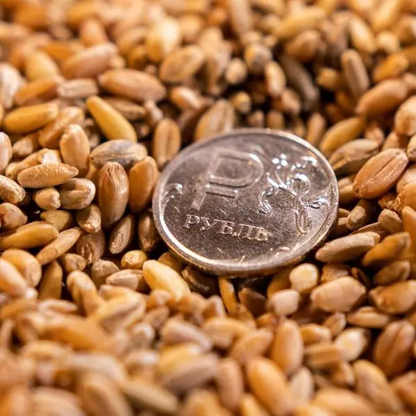 UK calls for investigation into alleged Ukraine grain theft by Russia