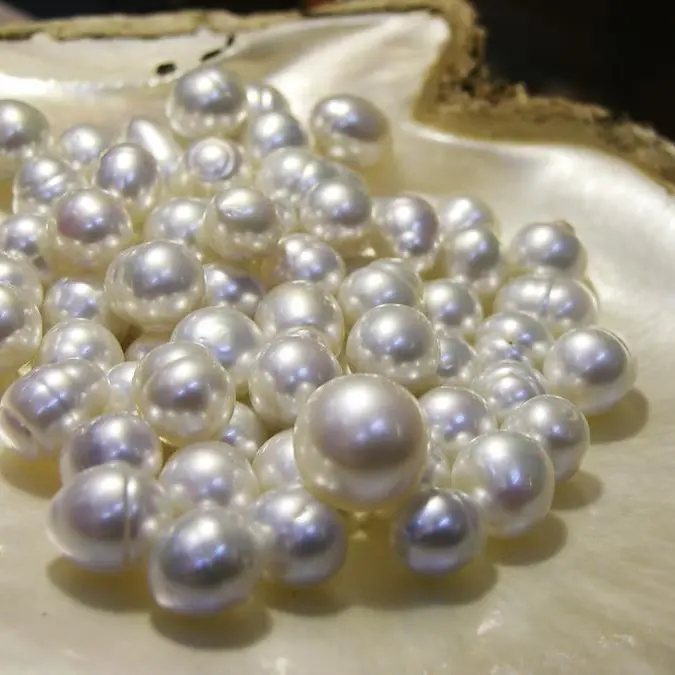 EAD and FAO join efforts to revive pearl industry in Abu Dhabi