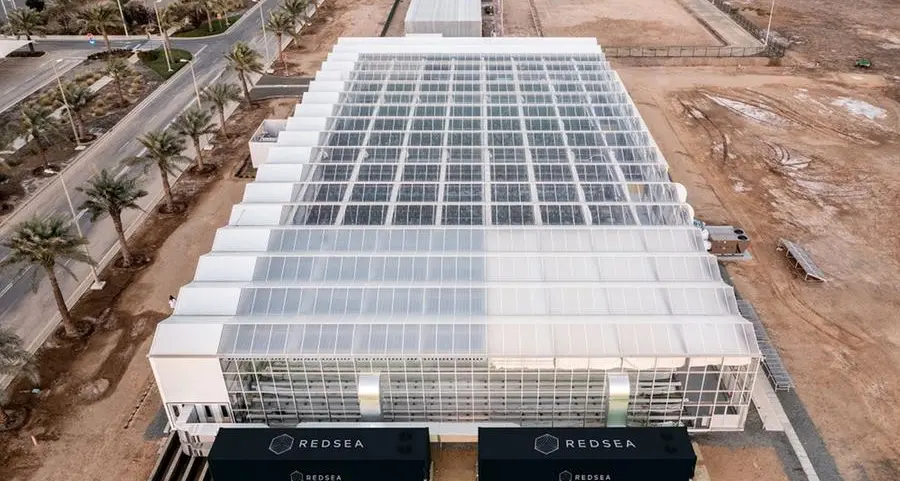Saudi AgTech RedSea, SDC plan greenhouses in 12 cities\n