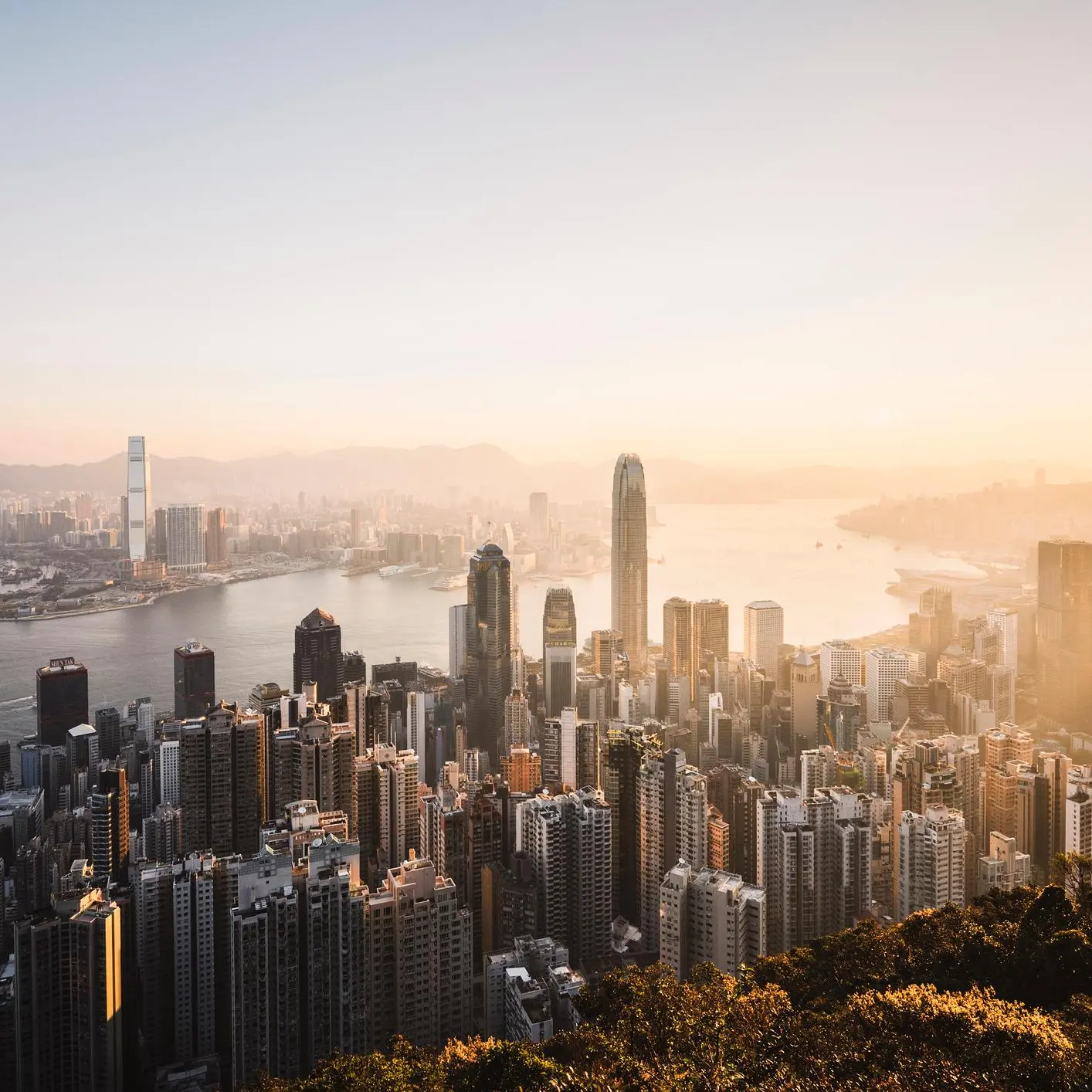 Hong Kong's future unclear as leadership election, lacking front-runner, is delayed by COVID-19