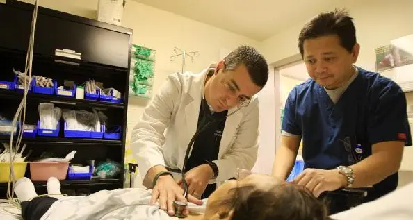 UAE's Jafza unveils plans to increase foreign direct investment in healthcare