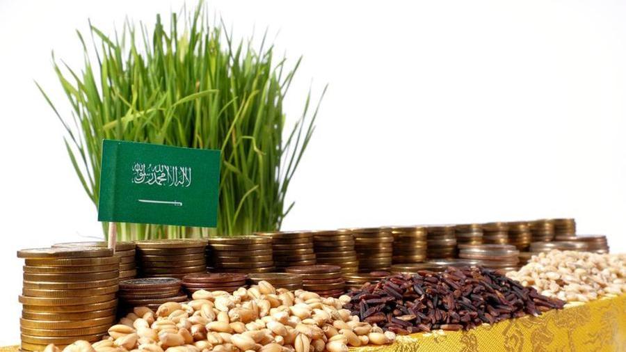 السعودية: ترسية شراء 495 ألف طن قمح
