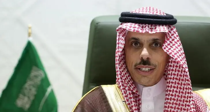 Saudi and Egyptian FMs express full support on security issues