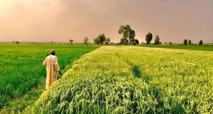 FG, World Bank partner Kwara govt on new agric project in Nigeria