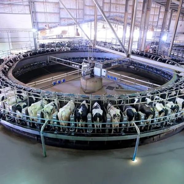 Juhayna enhances Enmaa farm capabilities by upgrading the rotating parlor with cutting-edge technologies