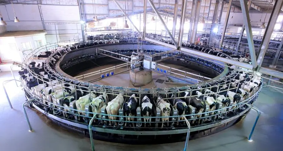 Juhayna enhances Enmaa farm capabilities by upgrading the rotating parlor with cutting-edge technologies