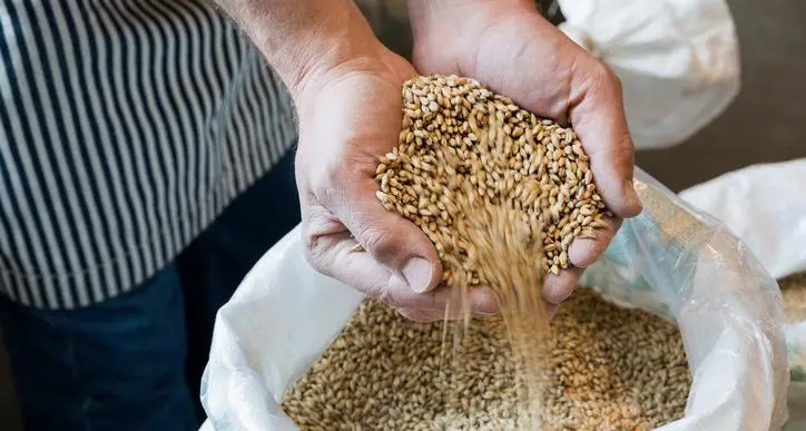 Saudi Arabia says private sector to be allowed to import barley