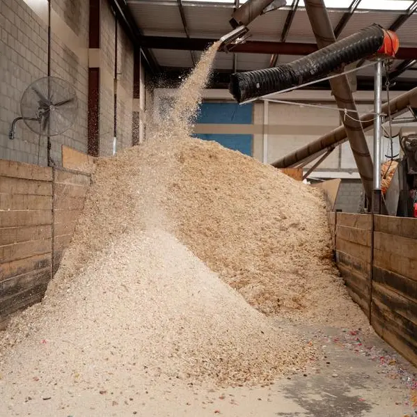 UAE’s unsold bread could help reduce reliance on imported livestock feed