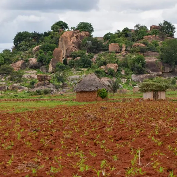 Hunger in Zimbabwe: For one peanut butter producer, El Niño crushes trade but not hope