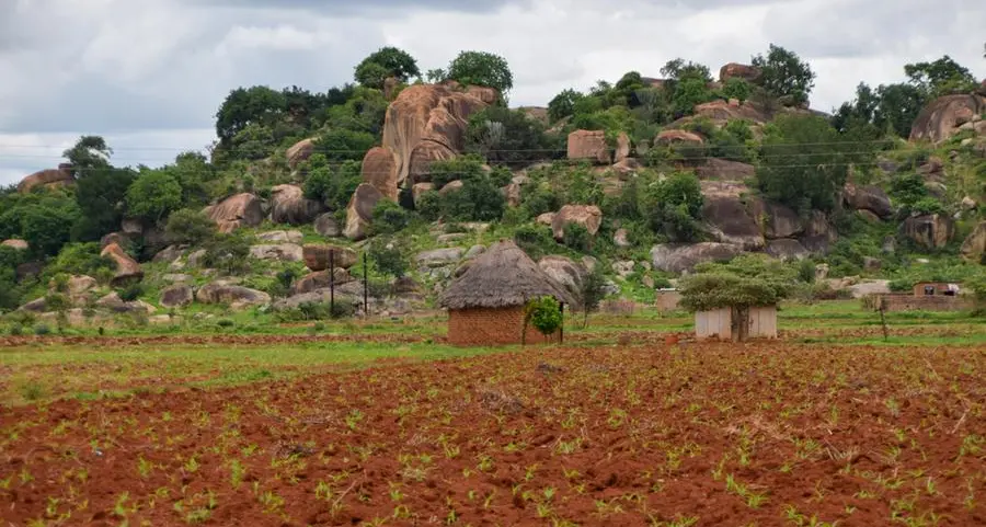 Hunger in Zimbabwe: For one peanut butter producer, El Niño crushes trade but not hope