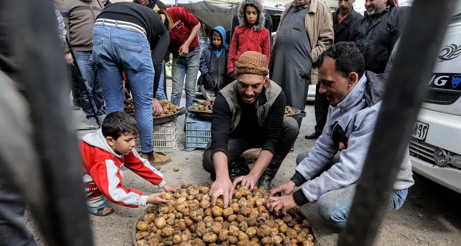 'Treat dipped in blood': Syrians risk their lives for truffles