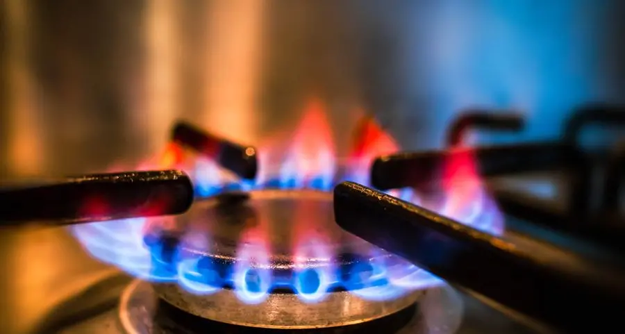 Population surge spurs 4.3% jump: Kuwait’s cooking gas demand hits new high