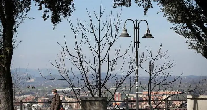 Italian banks' lending to firms down in November, but at a slower pace