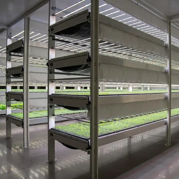 ADQ's AgTech Park launches vertical farming project