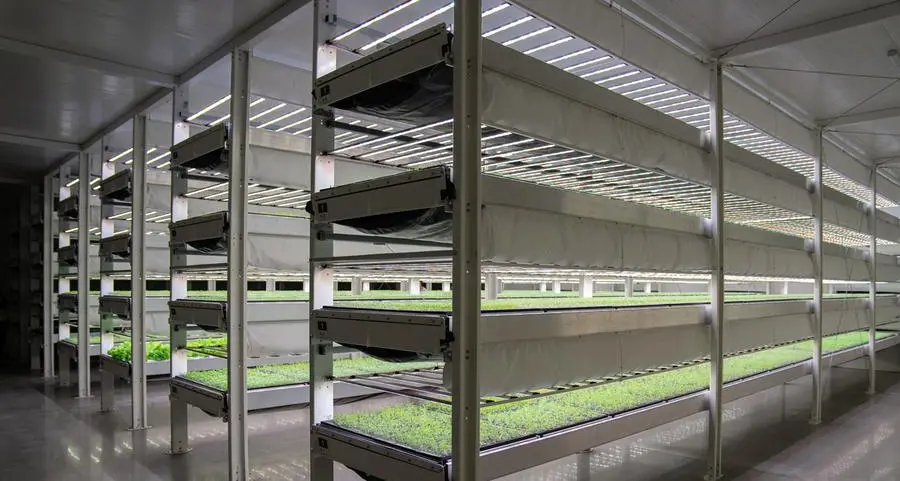 ADQ's AgTech Park launches vertical farming project