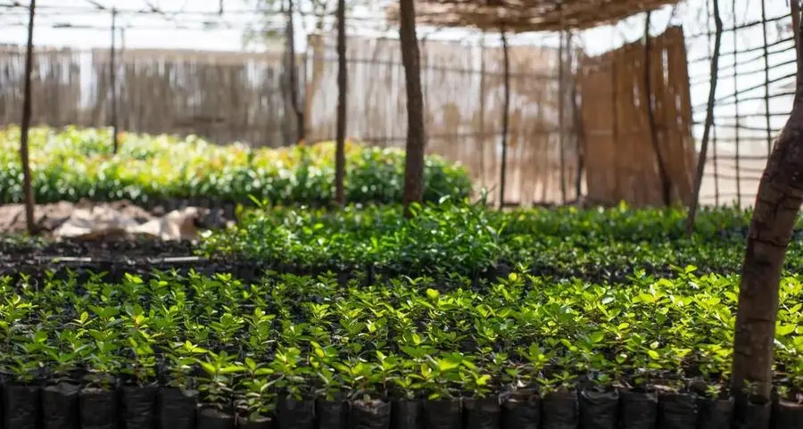 UAE-based climate platform structured its first Article 6 carbon finance transaction