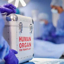 Mayo Clinic discovery could mean better access to more donor hearts and improved transplant outcomes