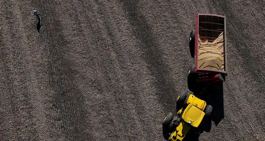 Chicago grains off highs with Fed and China in focus