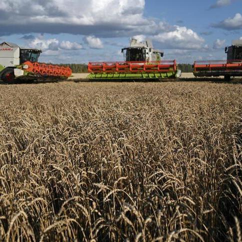 No talks about relaxing sanctions on Russia to get grain exports, White House says