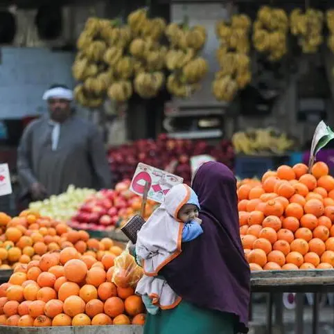 Egypt's headline inflation up slightly at 4.9 % in June - CAPMAS