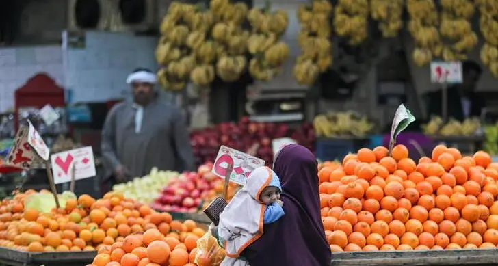 Egypt's headline inflation up slightly at 4.9 % in June - CAPMAS