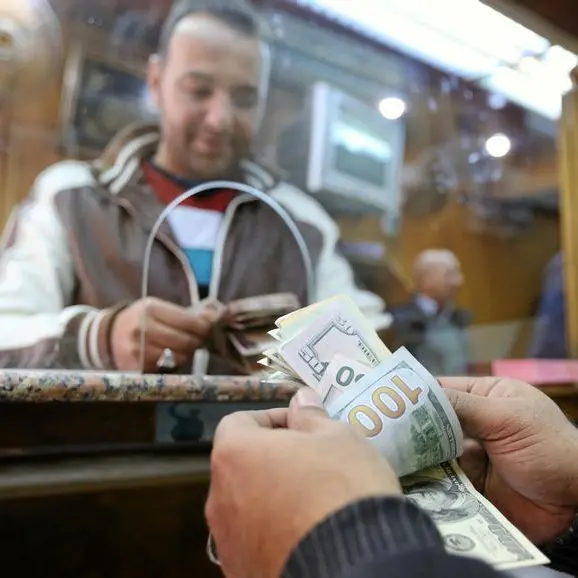 Egypts sovereign fund, Concord International to launch $300mln healthcare fund