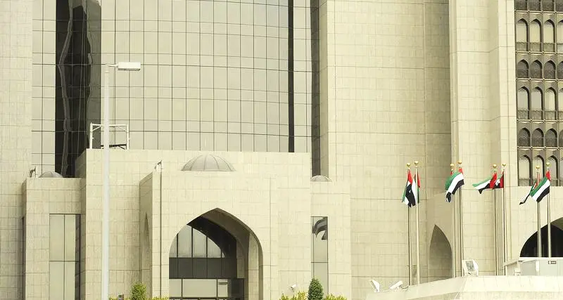 UAE appoints new central bank governor - state news agency