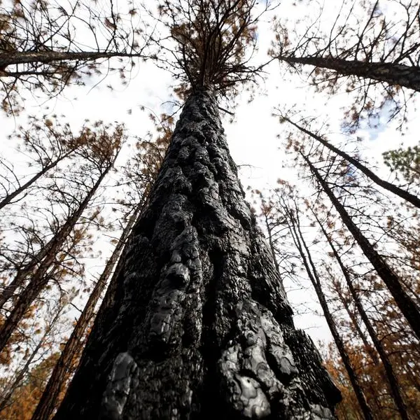 25,000 flee out-of-control wildfires in western Canada