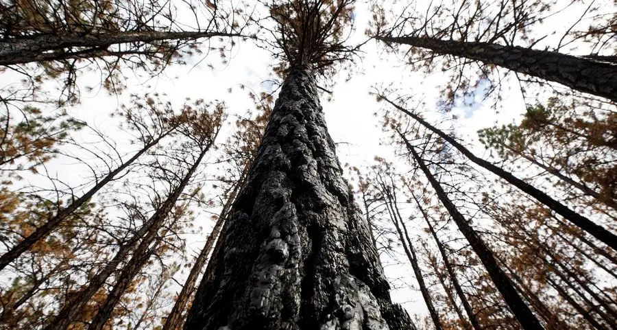 25,000 flee out-of-control wildfires in western Canada