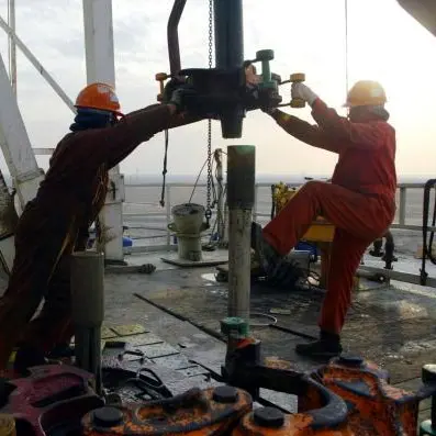 Kuwaiti petroleum firm discovers natural gas, condensate in Indonesia