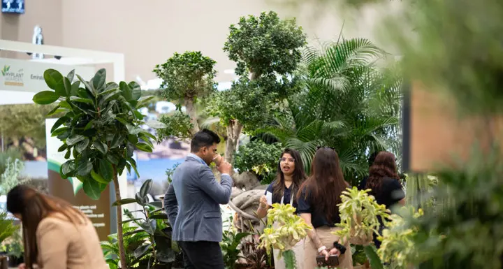 1 Myplant & Garden Middle East: a great first edition!