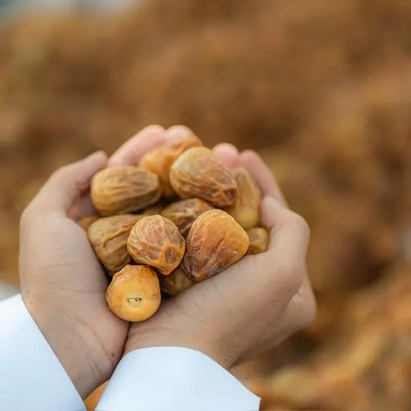 The Arabian Silk Road: First global path to responsible consumption and production