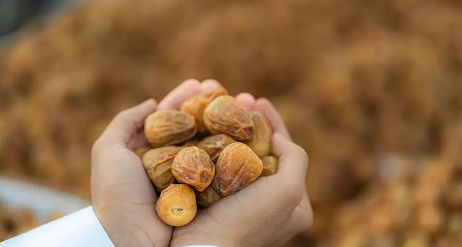 The Arabian Silk Road: First global path to responsible consumption and production