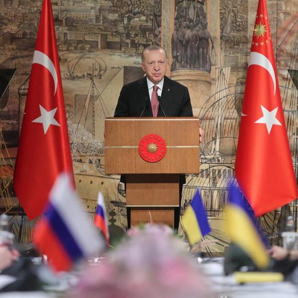 Erdogan says Turkey not supportive of Finland, Sweden joining NATO