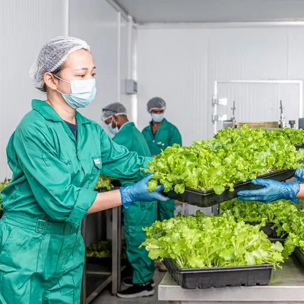 UNS Vertical Farms Dubai unveils over 45 varieties of microgreens
