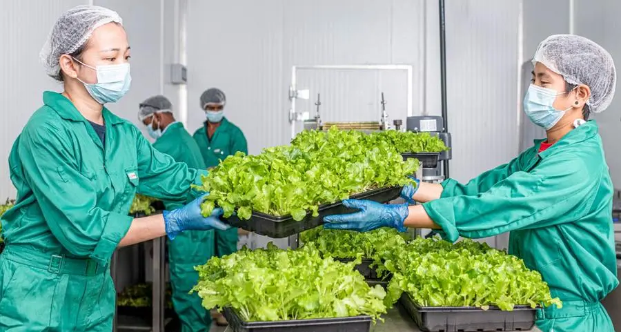 UNS Vertical Farms Dubai unveils over 45 varieties of microgreens