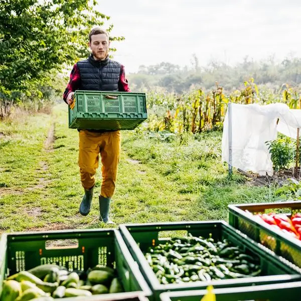 FAO: September sees biggest food price hike in 18 months