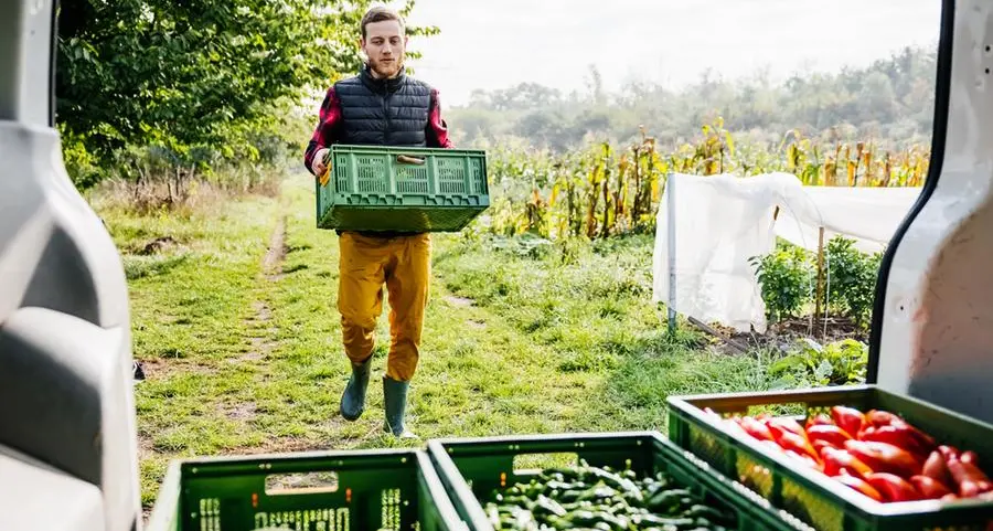 FAO: September sees biggest food price hike in 18 months