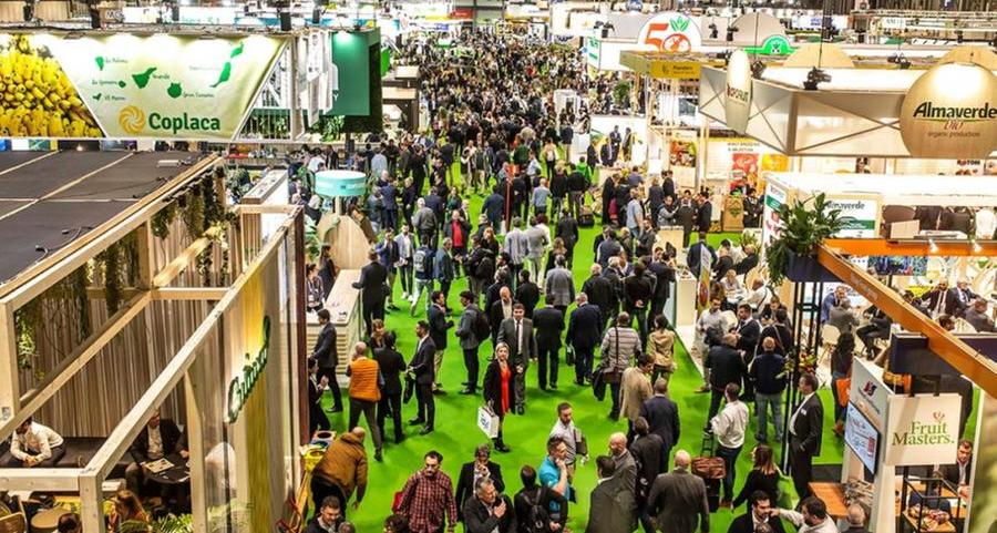 Global fruit and vegetable exhibition attracting interest from Middle East buyers