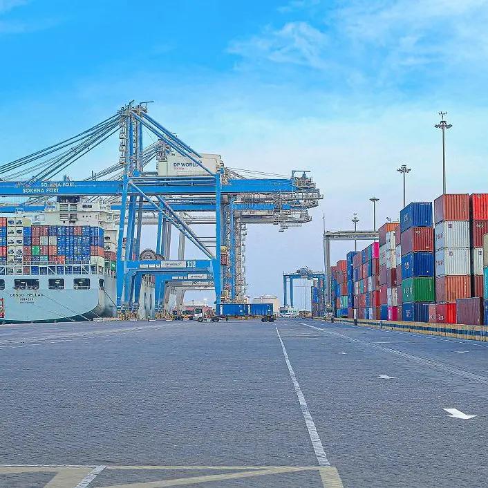 DP World Sokhna plans to expand its logistics services outside port area by 2022: CEO